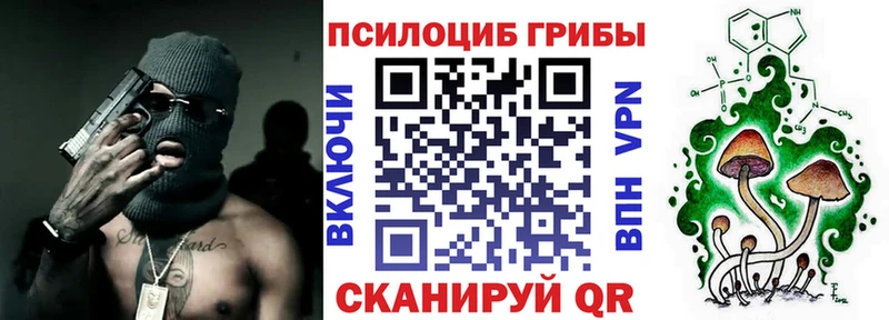 Галлюциногенные грибы Cubensis  Александровск 